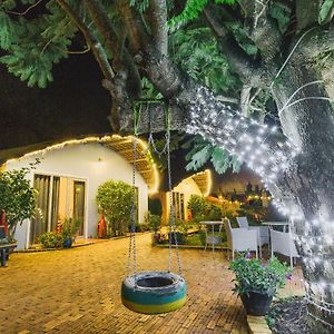 Cocoon Bungalow